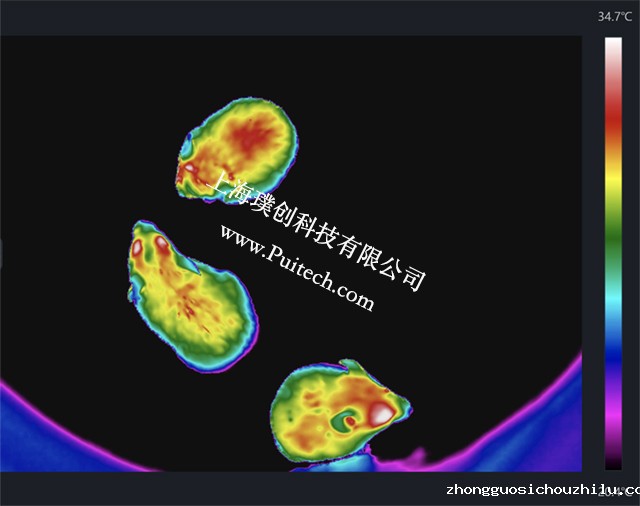优米视讯app新版下载链接红外热成像技术对实验小鼠进行科研观测